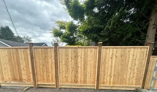 Cedar Fencing