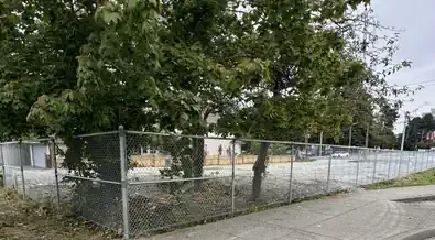 Chain Link Fencing - Image 15