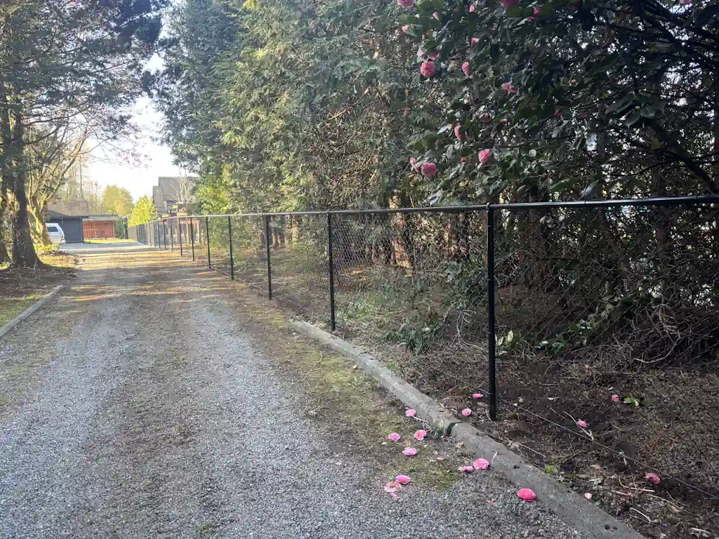 Chain Link Fencing - Image 1