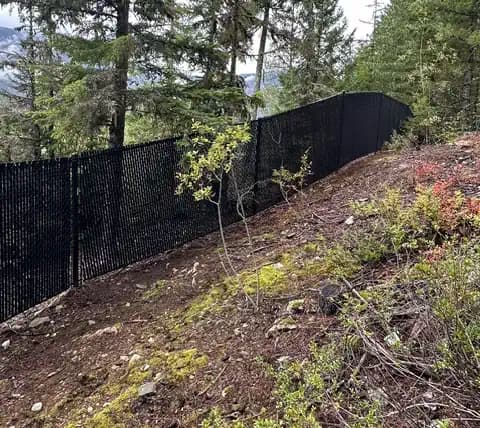 Chain Link Fencing - Image 7