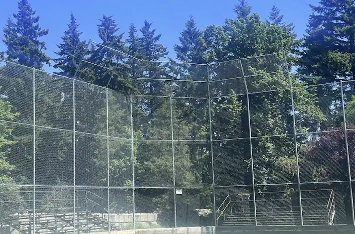 Chain Link Fencing - Image 9