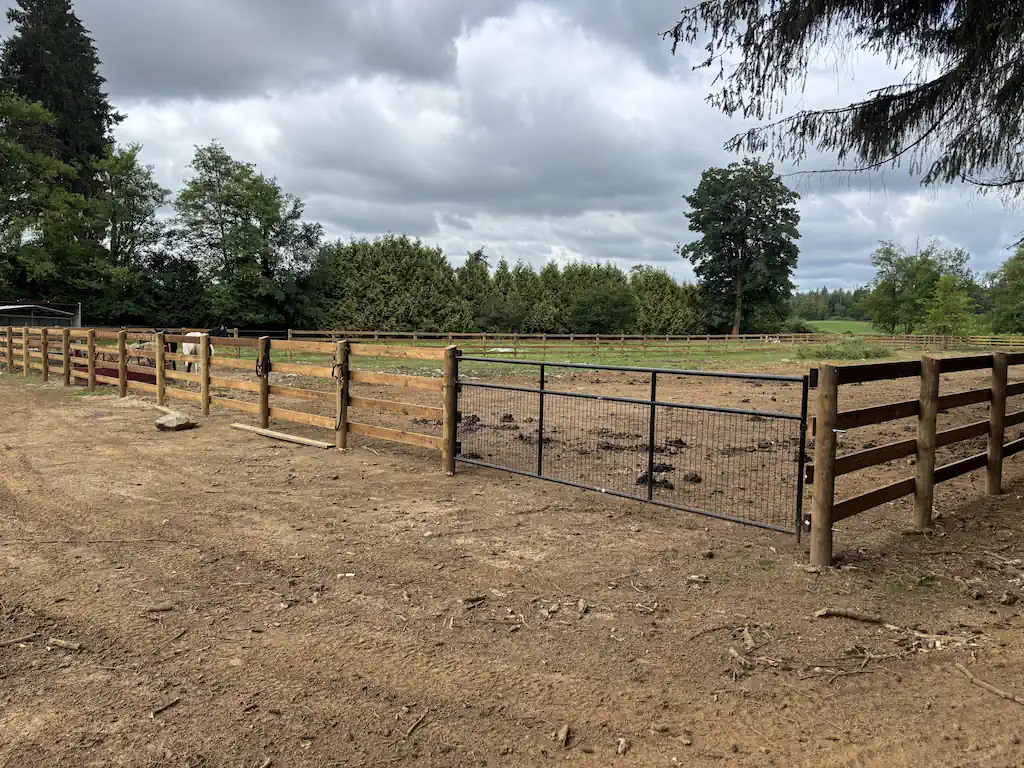 Cedar & Wood Fencing - Image 4