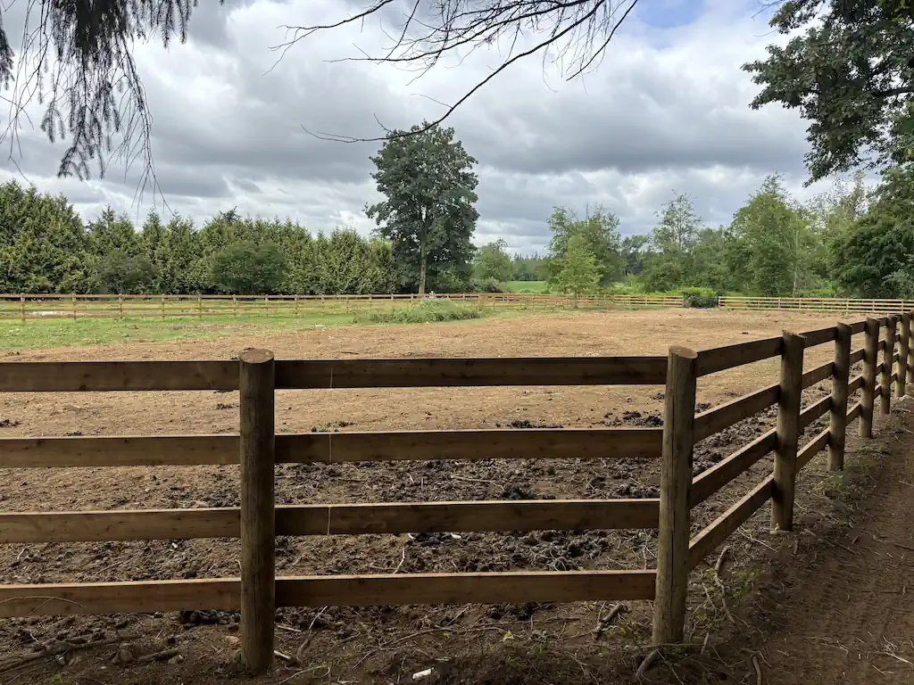 Cedar & Wood Fencing - Image 3
