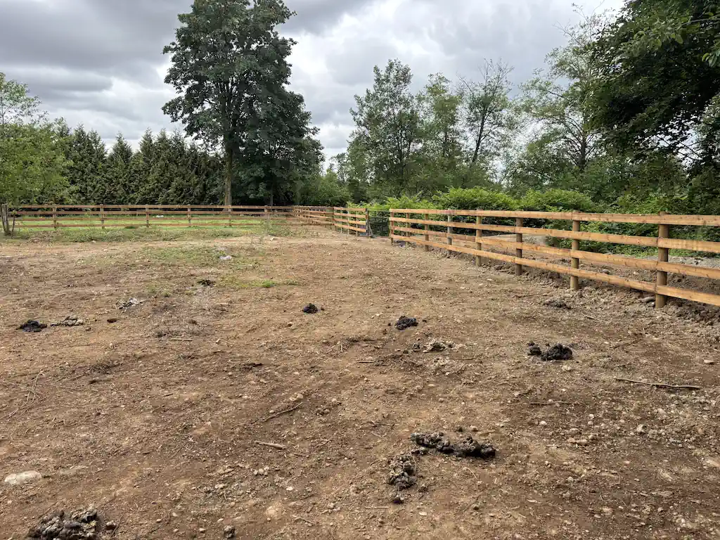 Cedar & Wood Fencing - Image 1